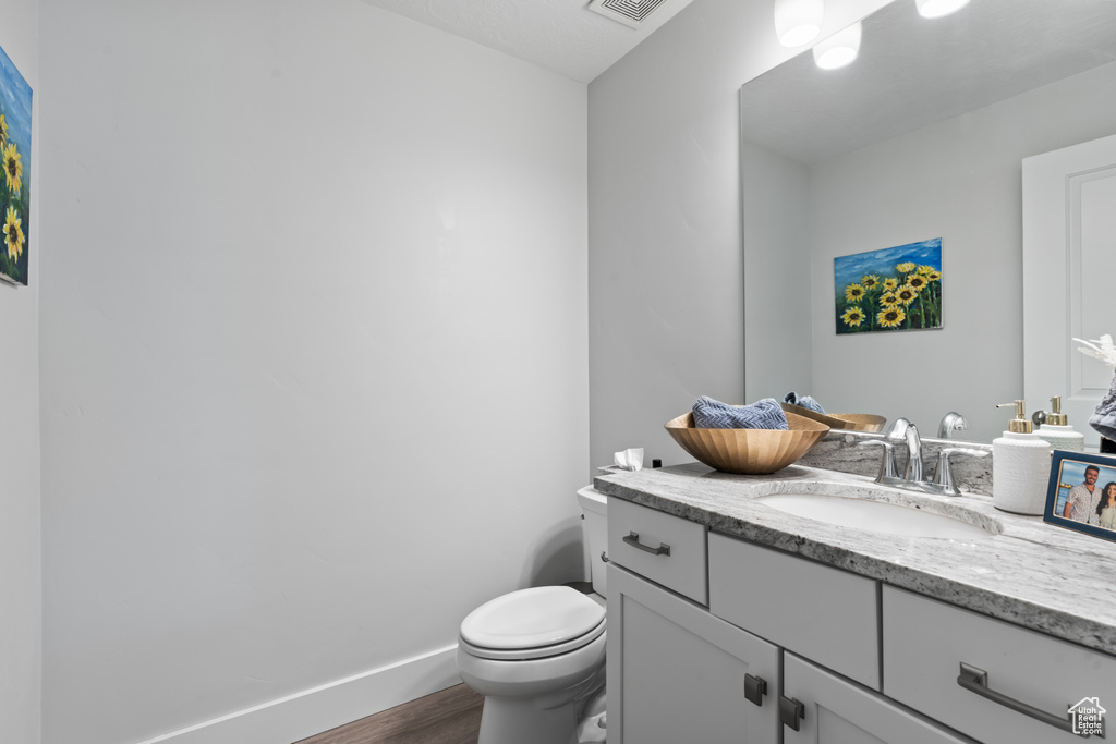 Bathroom featuring wood finished floors and vanity