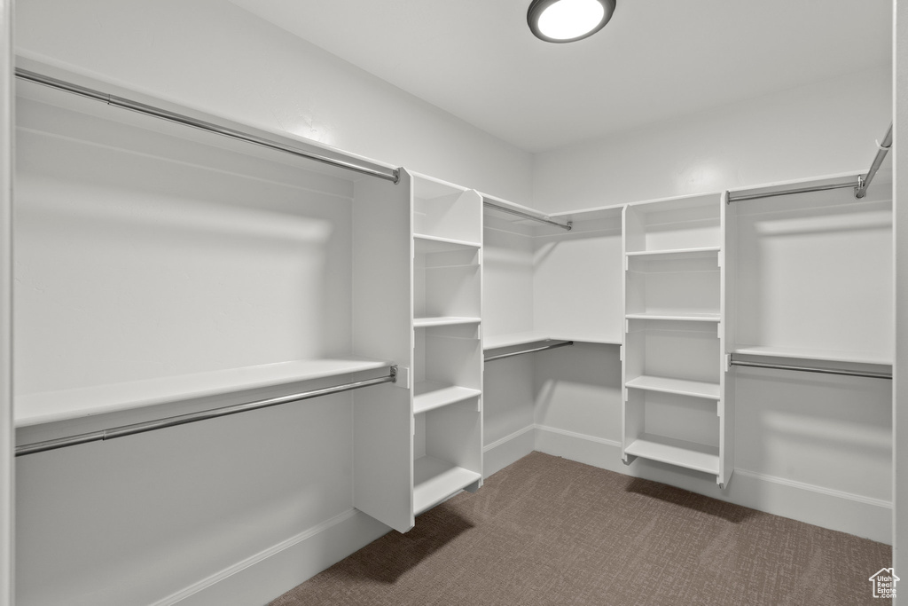 Walk in closet featuring dark colored carpet