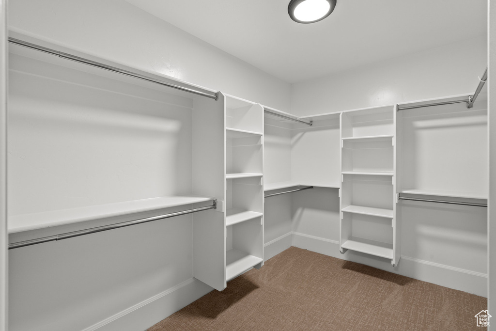 Spacious closet featuring dark carpet