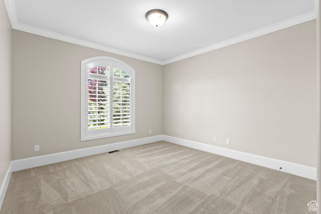 Carpeted empty room with ornamental molding and baseboards