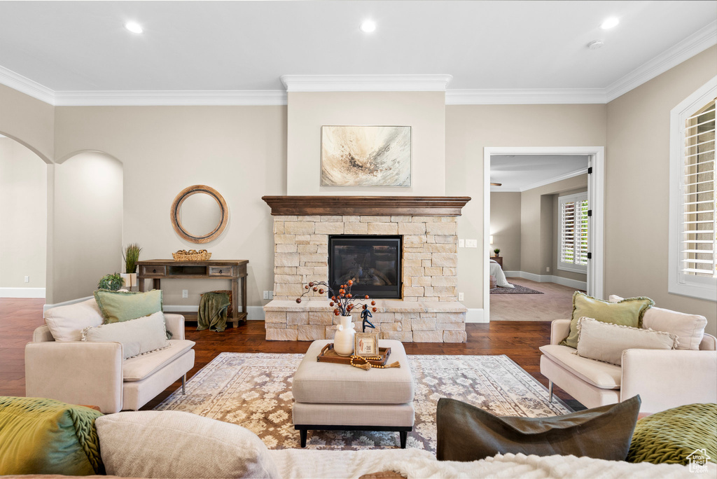 Living room with ornamental molding, recessed lighting, wood finished floors, and a fireplace