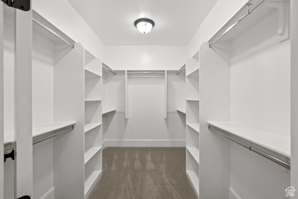 Walk in closet with dark colored carpet