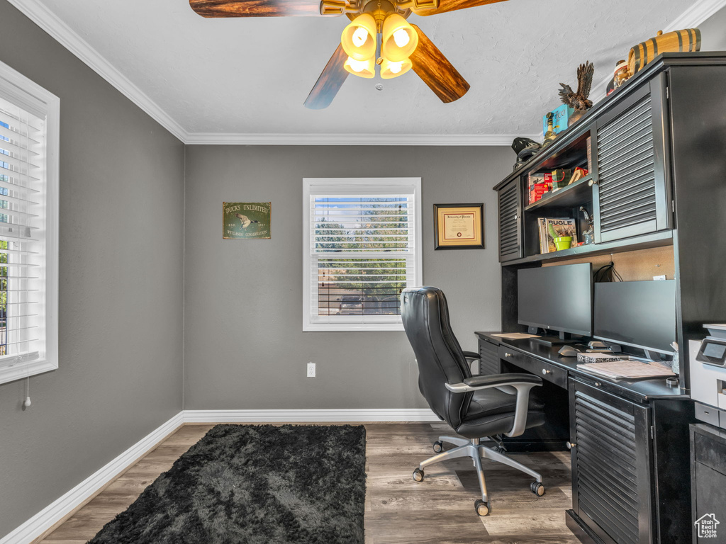 Office area with wood finished floors, a ceiling fan, and crown molding