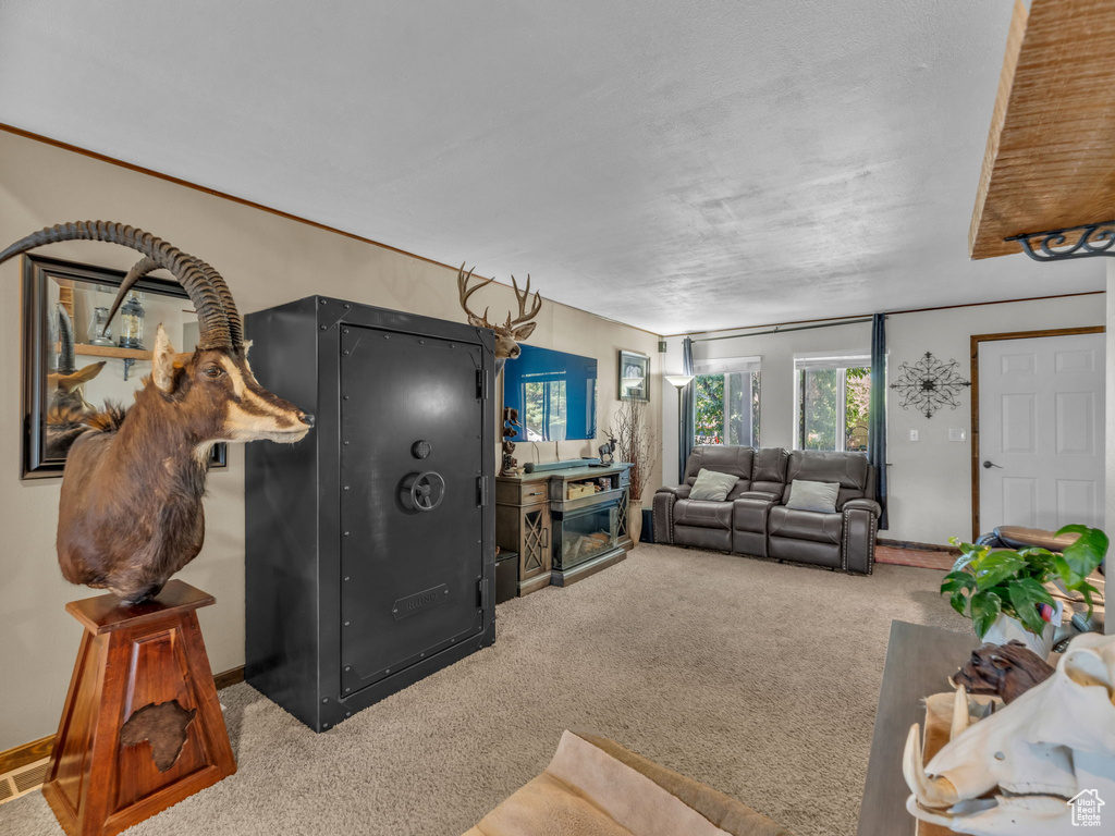 Living area featuring carpet floors and a fireplace