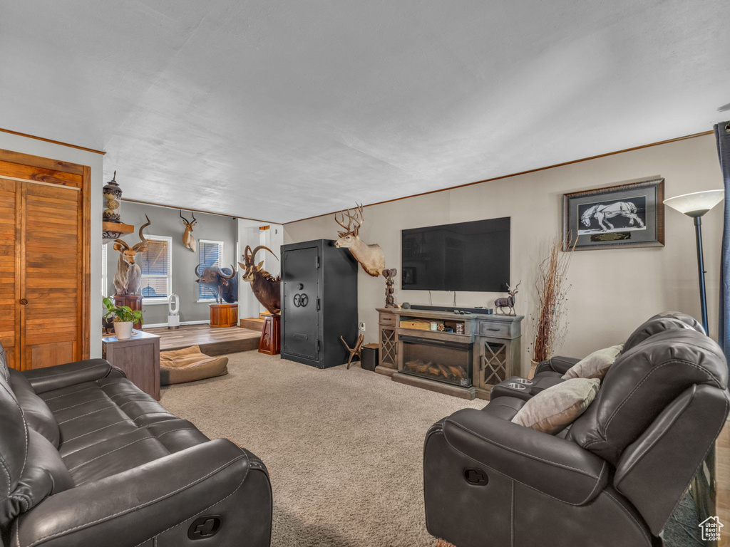 Living room with carpet flooring and crown molding