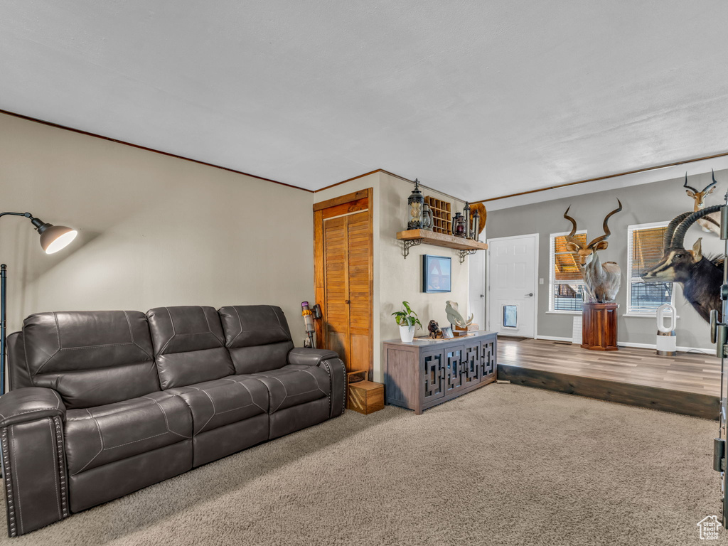 Carpeted living room with baseboards