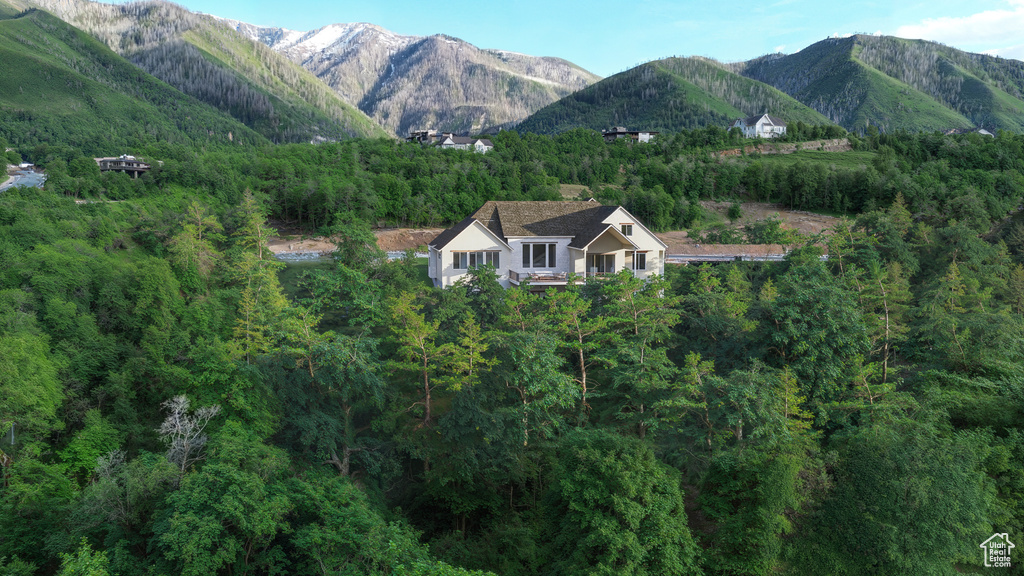View of mountain backdrop featuring a forest