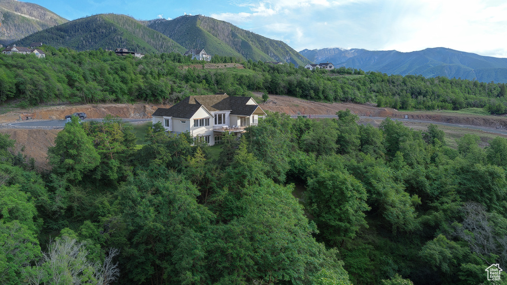 View of mountain backdrop with a heavily wooded area
