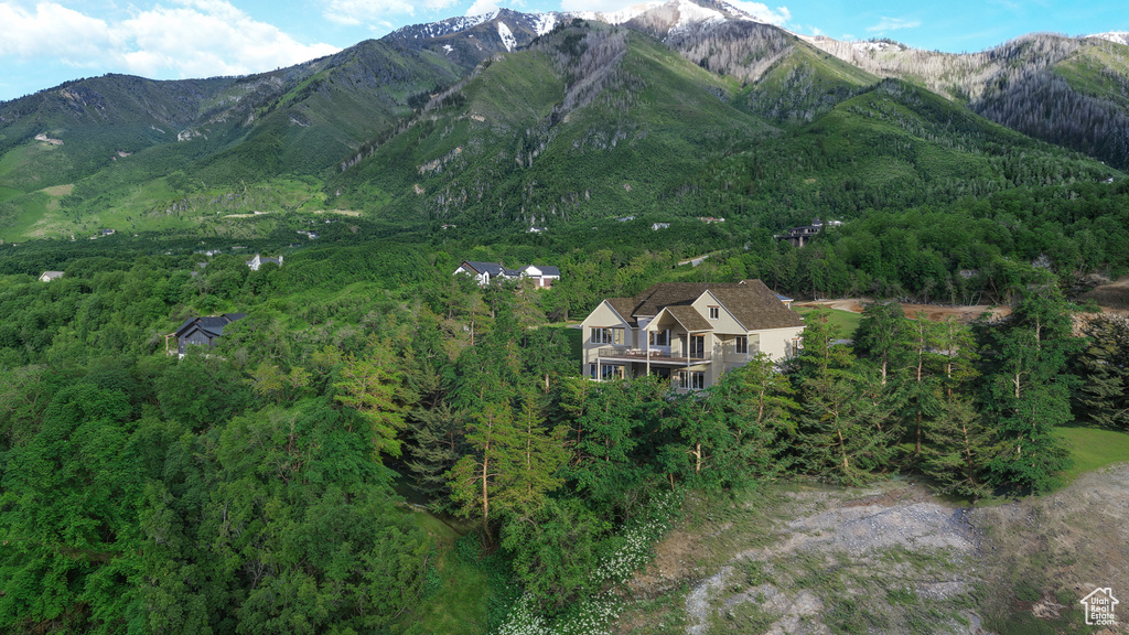 View of mountain background featuring a heavily wooded area