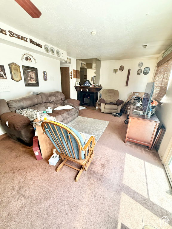Living area featuring carpet
