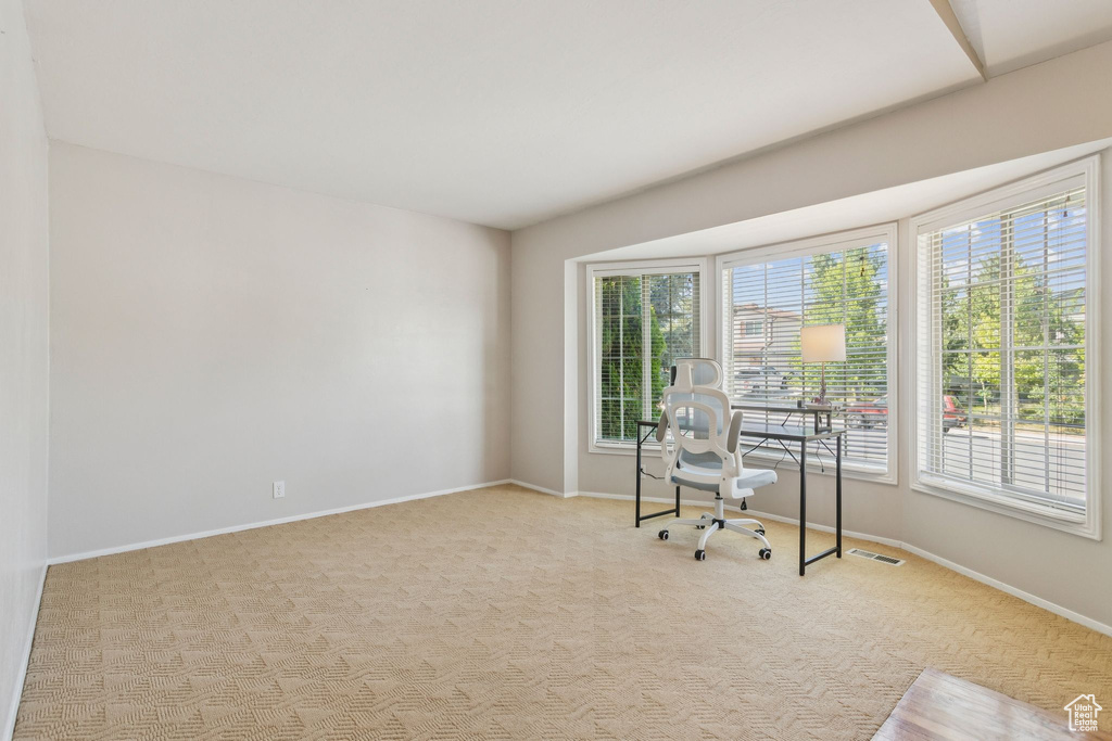 Office space featuring carpet flooring