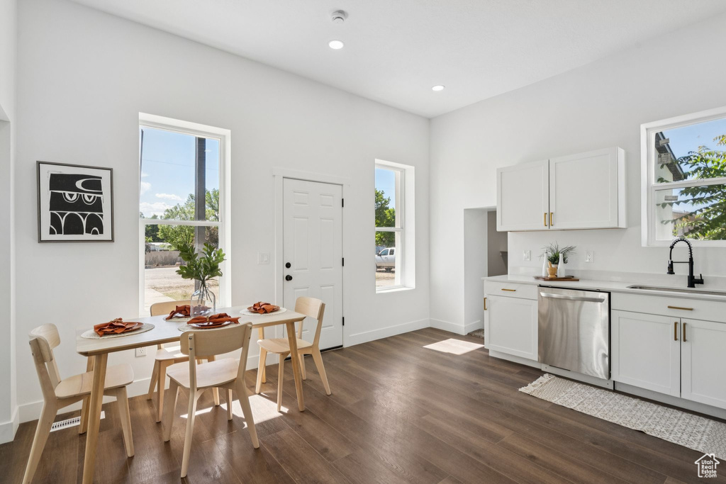 Kitchen with a sink, stainless steel dishwasher, dark wood finished floors, light countertops, and recessed lighting