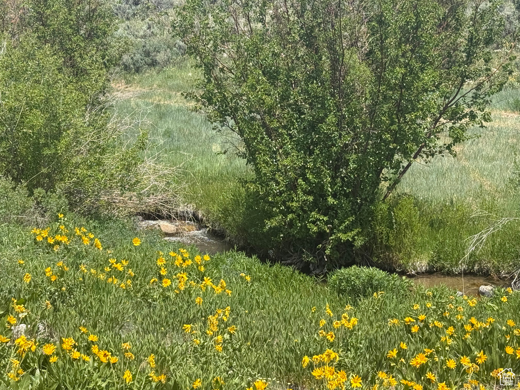 View of nature