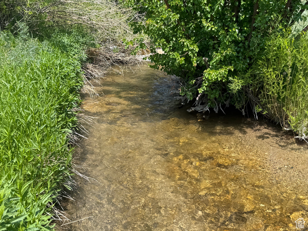 View of nature