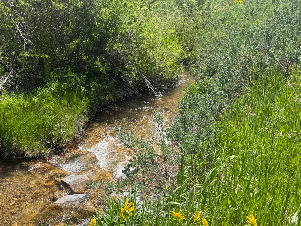 View of nature