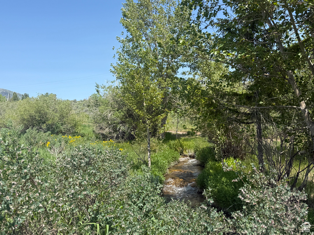 View of undeveloped land