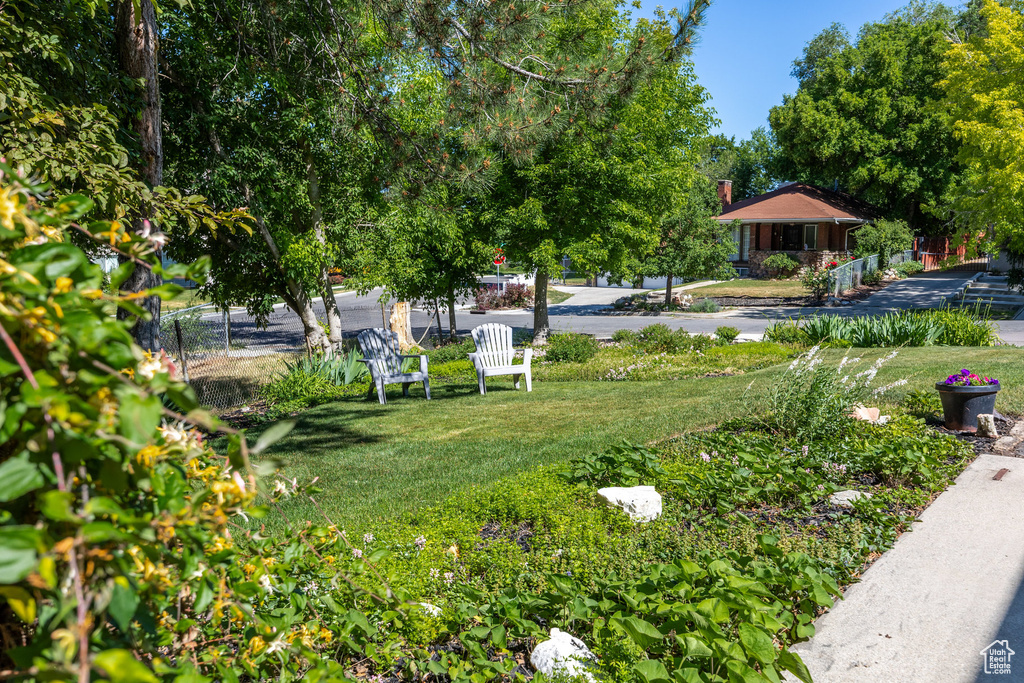 View of grassy yard featuring view of scattered trees