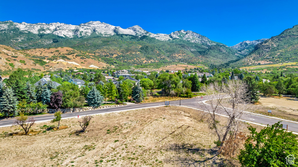 Mountain view
