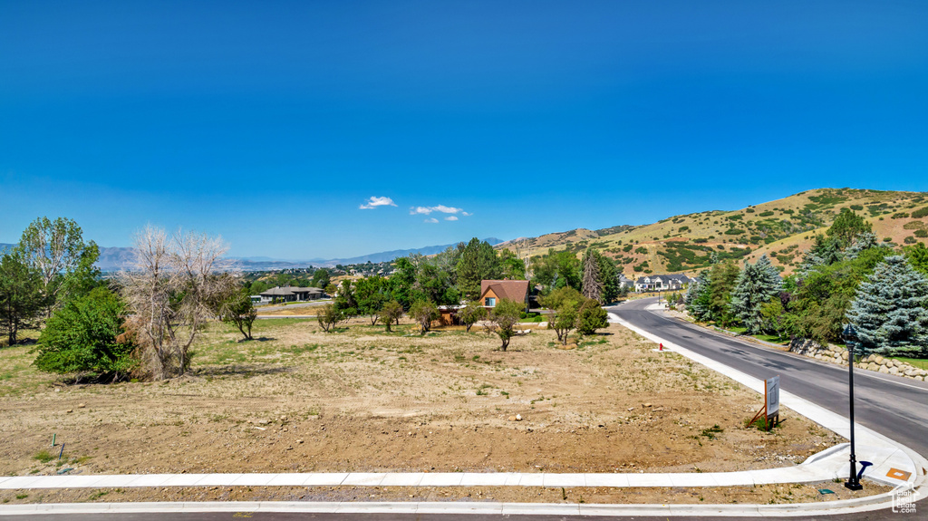 View of mountain background