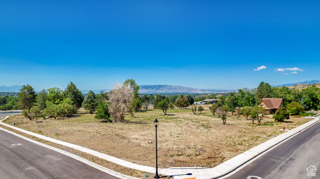 Mountain view