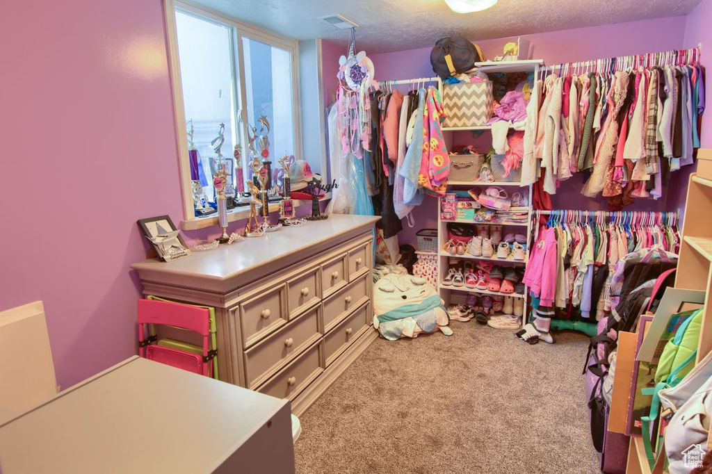 Spacious closet featuring carpet