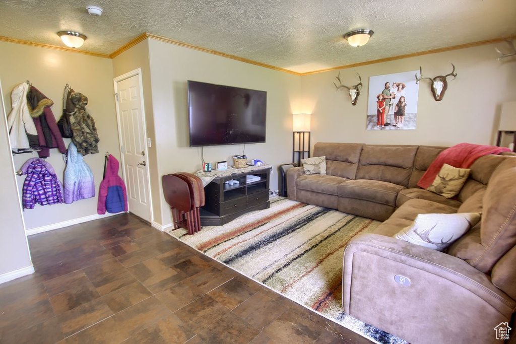 Living room with ornamental molding and a textured ceiling