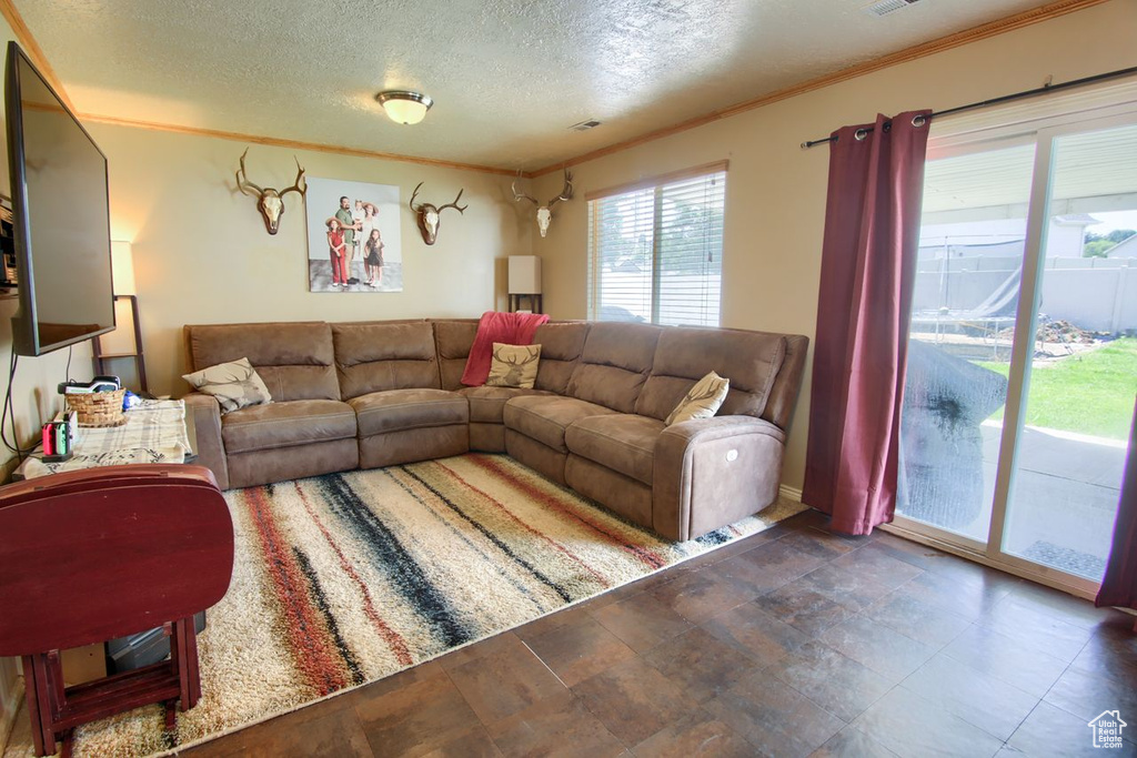 Living area with a textured ceiling and crown molding