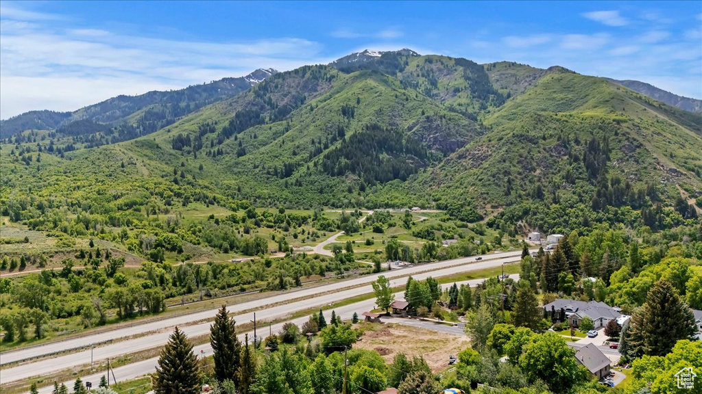 View of mountain background featuring a forest