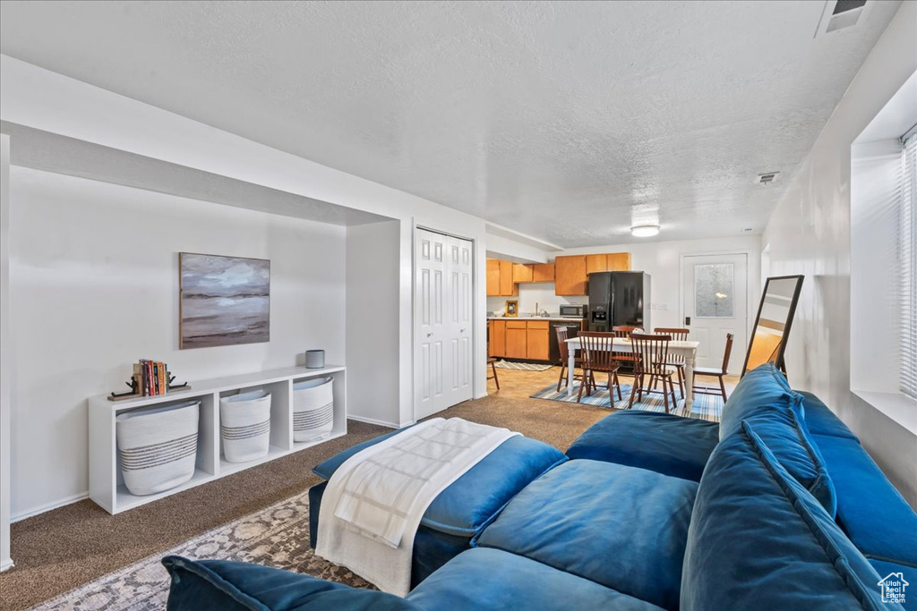 Living room with light colored carpet, a textured ceiling, and baseboards