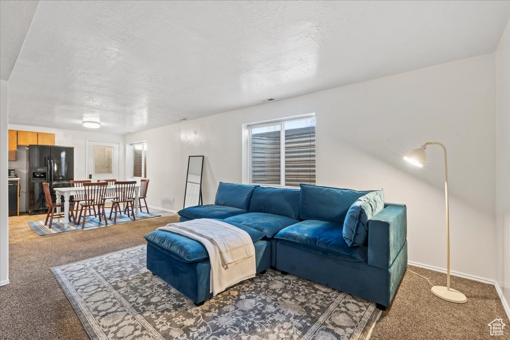 Living area with light colored carpet, a textured ceiling, and baseboards