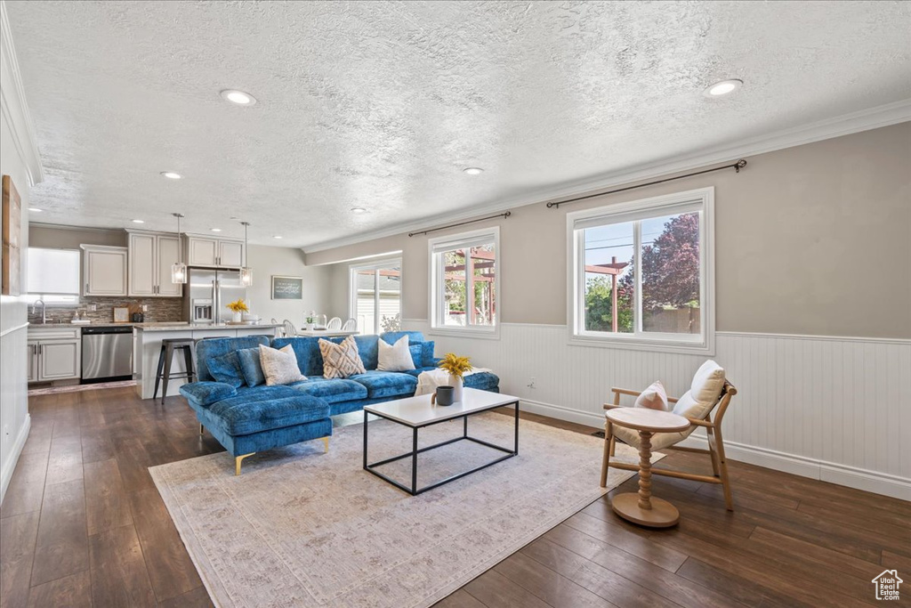 Living room with a textured ceiling, dark wood finished floors, wainscoting, recessed lighting, and ornamental molding