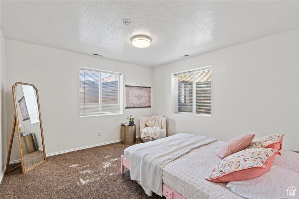 Bedroom featuring multiple windows, carpet floors, baseboards, and a textured ceiling
