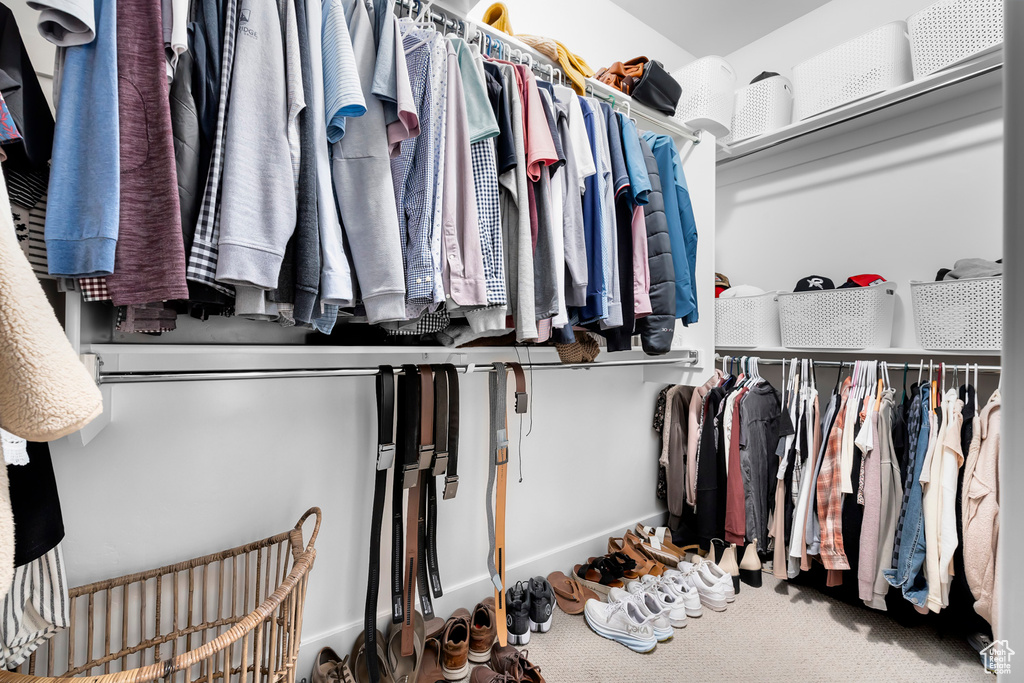 Walk in closet featuring carpet flooring