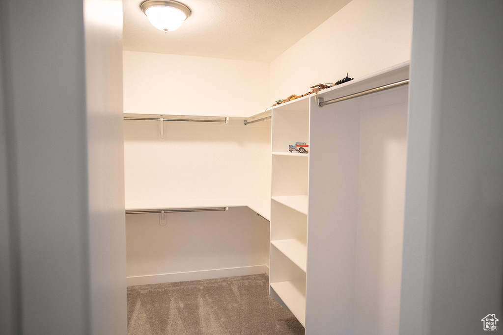 Walk in closet with carpet