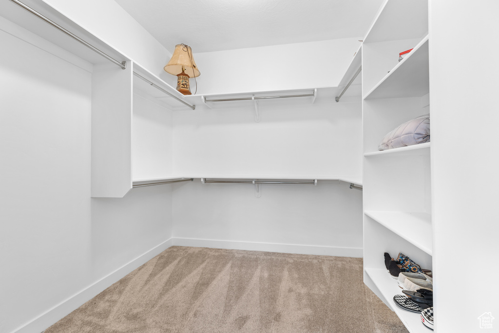 Spacious closet with carpet flooring