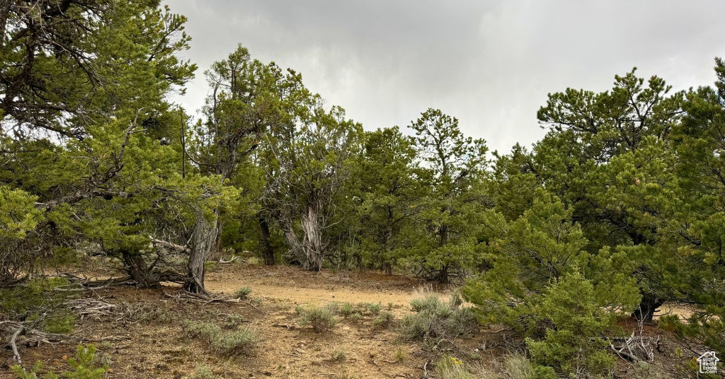 View of nature