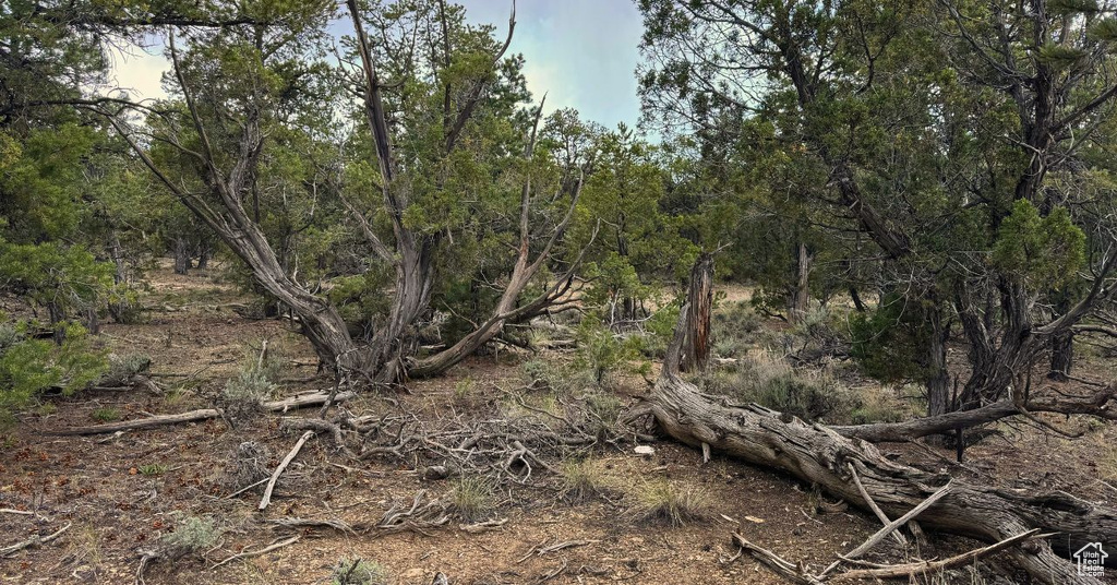 View of undeveloped land