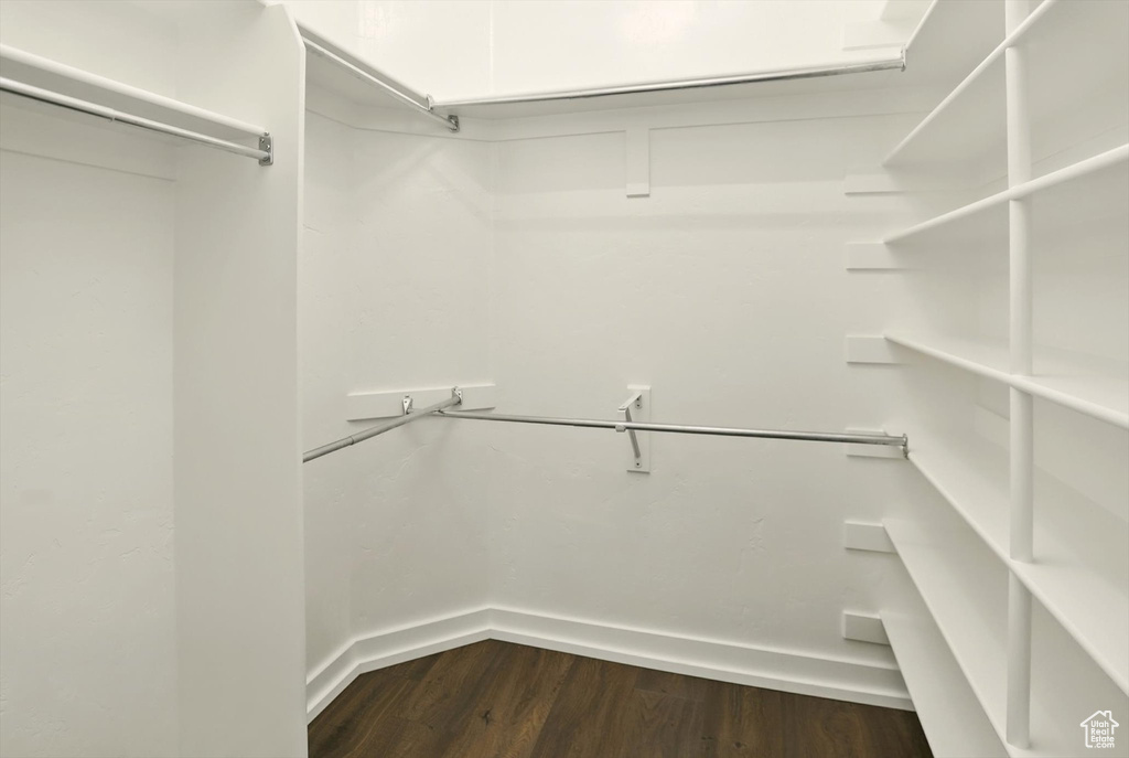 Spacious closet featuring dark wood-type flooring
