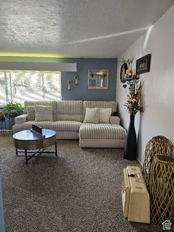 Carpeted living area featuring a textured ceiling