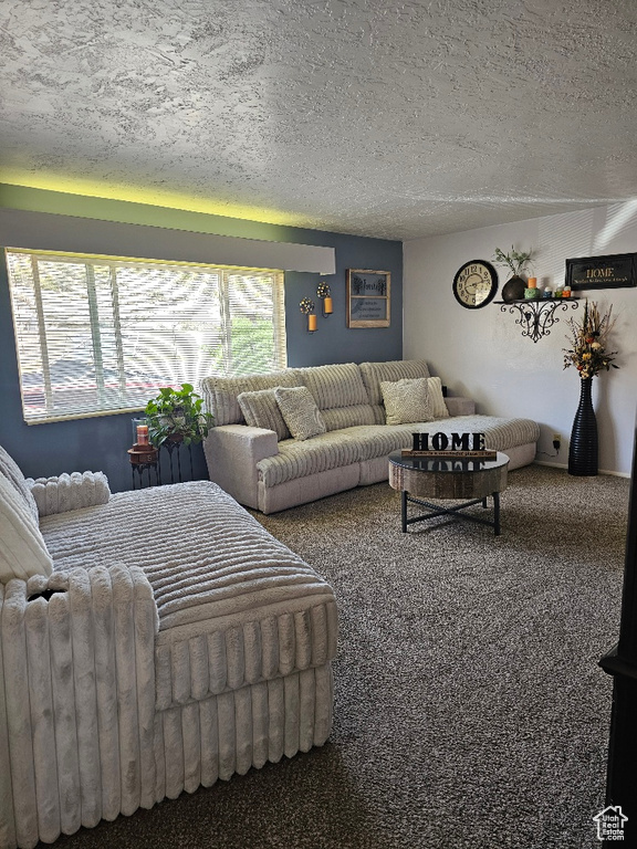 Living room with carpet floors and a textured ceiling
