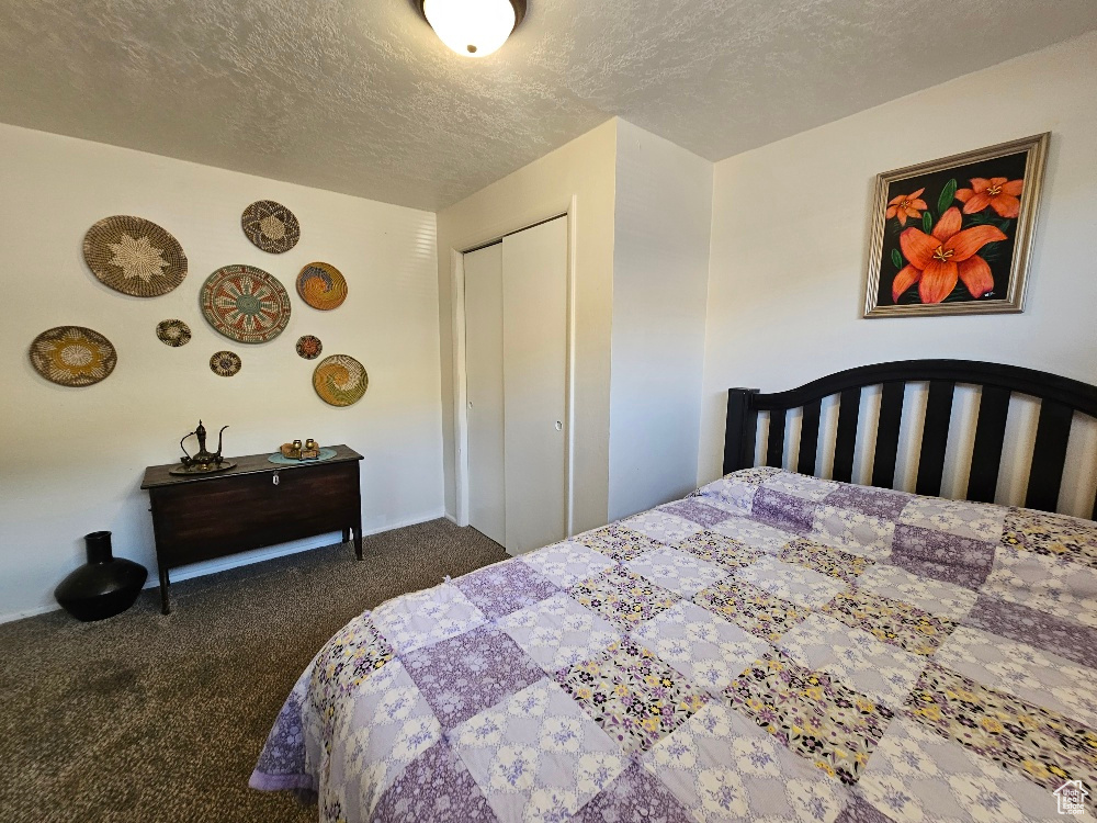 Carpeted bedroom with a textured ceiling and a closet