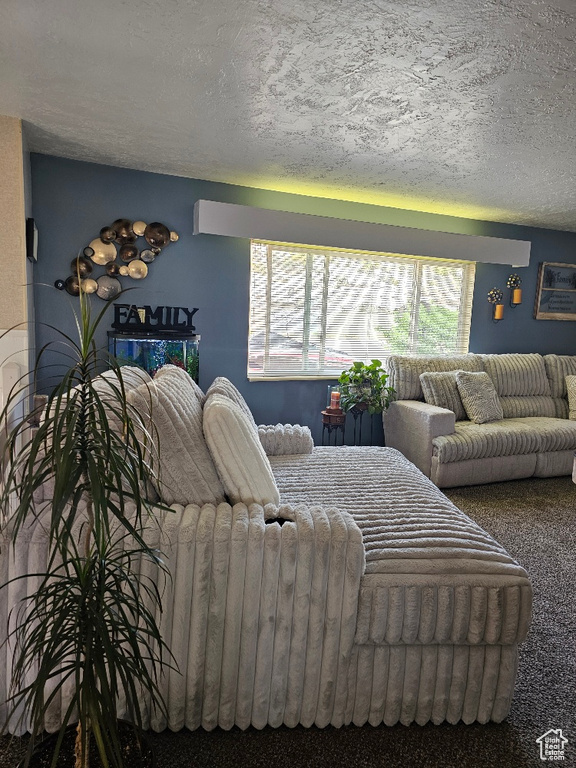 Bedroom featuring a textured ceiling, multiple windows, and carpet