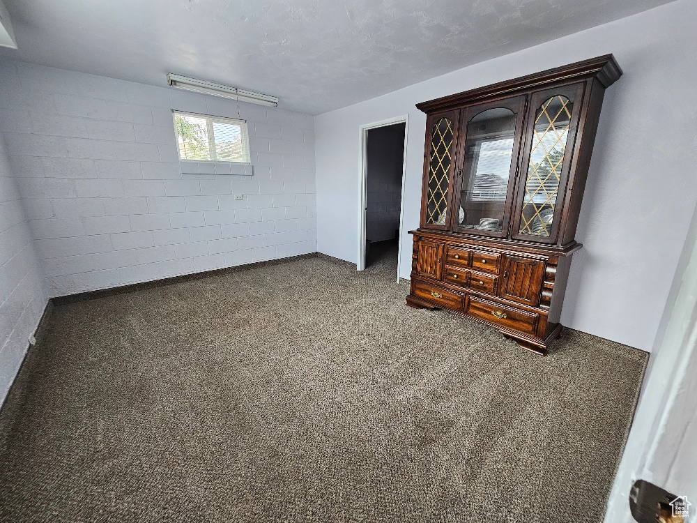 Carpeted empty room with concrete block wall