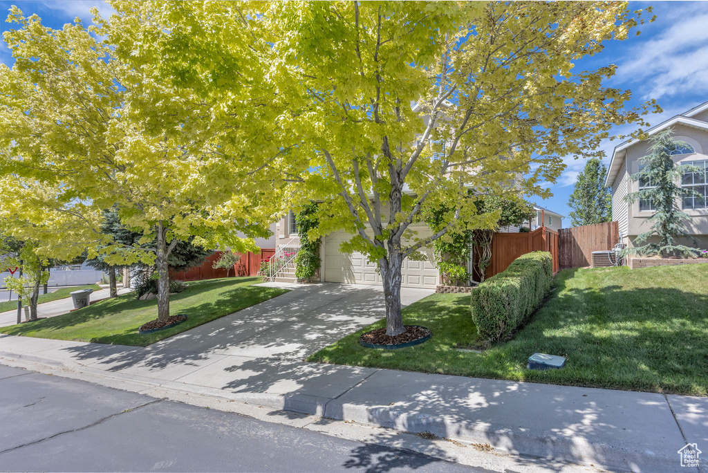 View of property hidden behind natural elements with concrete driveway and a garage