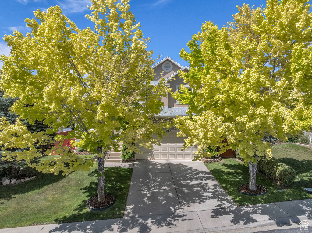 View of property hidden behind natural elements with a garage, a front yard, and driveway