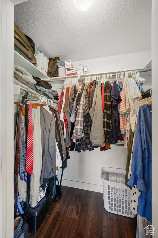Spacious closet with wood-type flooring