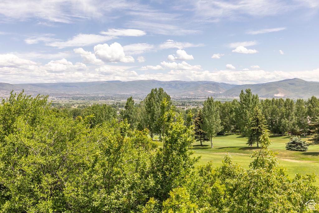 Mountain view