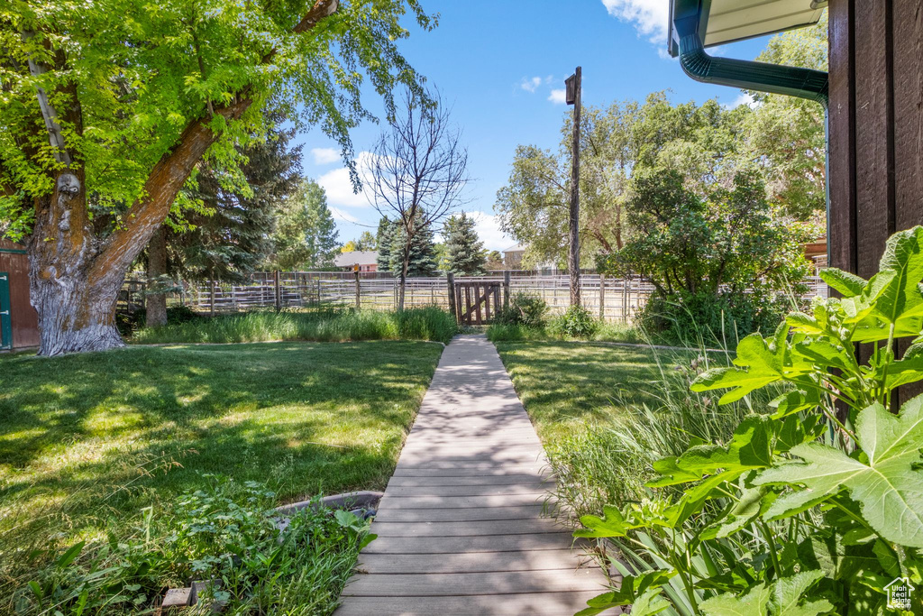 View of yard