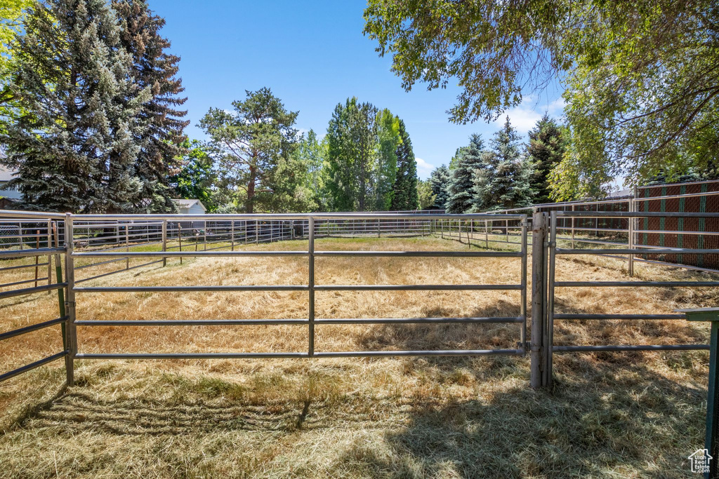View of yard with a view of rural / pastoral area