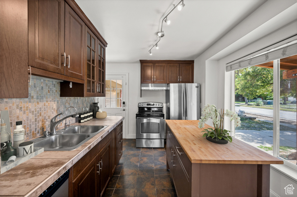 Kitchen featuring wood counters, stainless steel appliances, under cabinet range hood, tasteful backsplash, and glass insert cabinets